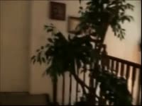 Her cousin sneaks in her room to fuck 